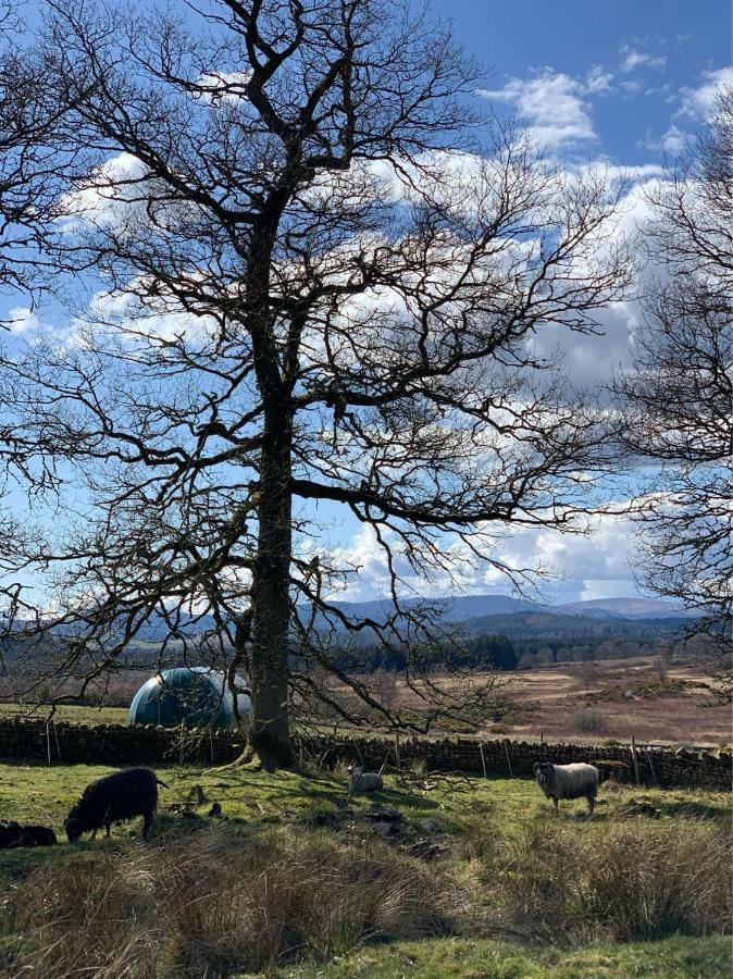 Cardross Estate Glamping Pods Hotel Stirling Exterior foto