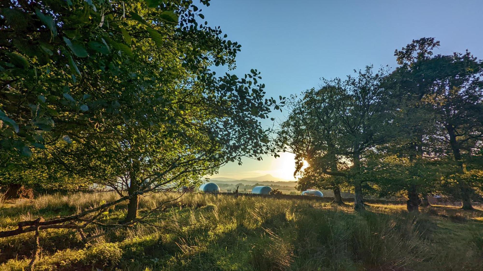 Cardross Estate Glamping Pods Hotel Stirling Exterior foto